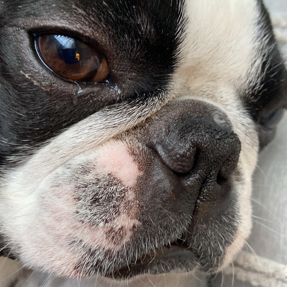 Meet your Posher, and her best friend! - Picture 3 of 6